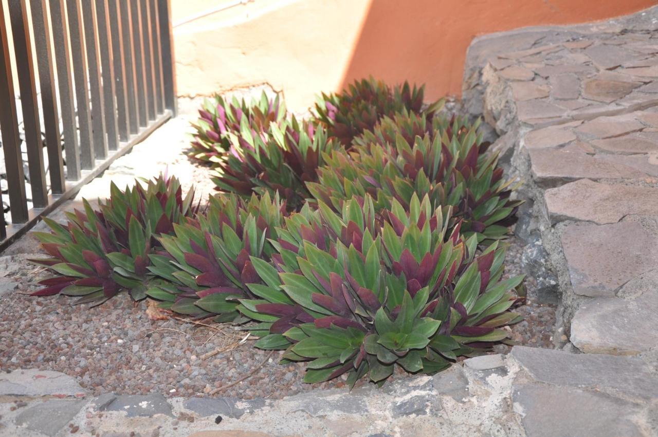 Vivienda Vacacional Villa El Mirador San Sebastián de la Gomera Екстериор снимка